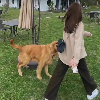 了不起舞社第二季